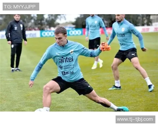 乌拉圭与厄瓜多尔精彩对决全场录像回放及精彩瞬间分析